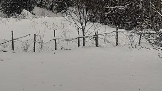 Bartın'ın zirvelerine kar yağıyor