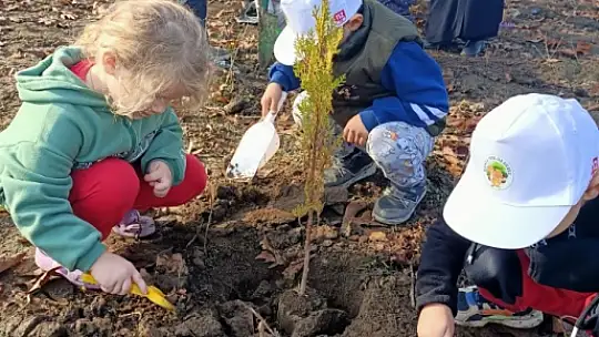 4-6 yaş Kur'an kursu öğrencileri fidan dikti