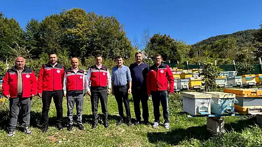40 kovanla başlayan yolculuk profesyonel arıcılığa dönüştü