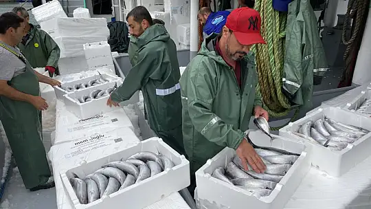 Binlerce kasa palamutla döndü