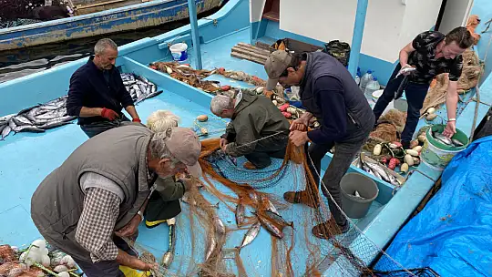 Amasralı balıkçıların yüzü palamutla güldü