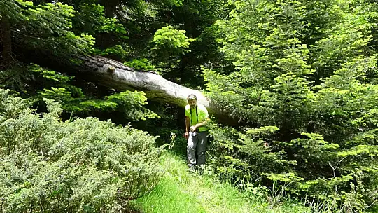 5 girişi bulunan mağara turizme kazandırılmak bekliyor