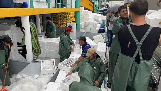 Binlerce kasa palamutla döndü