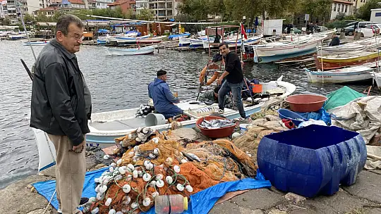 Amasralı balıkçıların yüzü palamutla güldü