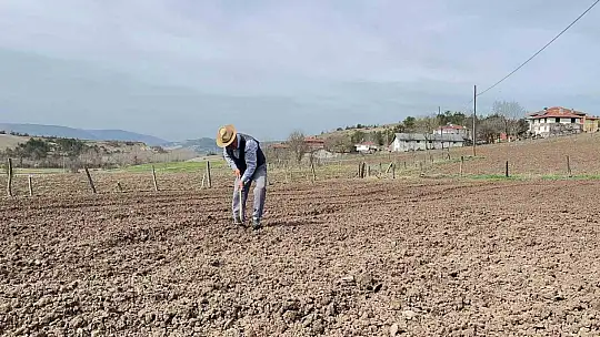 77 yaşındaki çiftçi gençlere taş çıkartıyor