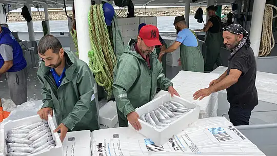 Binlerce kasa palamutla döndü