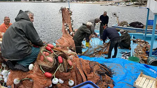 Amasralı balıkçıların yüzü palamutla güldü