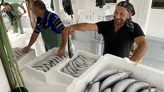 Binlerce kasa palamutla döndü