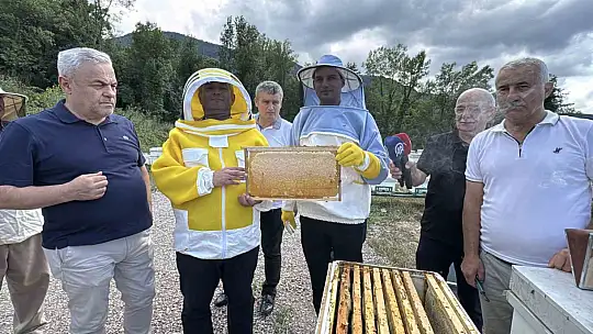 AB tescilli Yenice ıhlamur balında hasat başladı