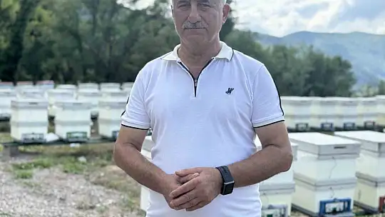 AB tescilli Yenice ıhlamur balında hasat başladı