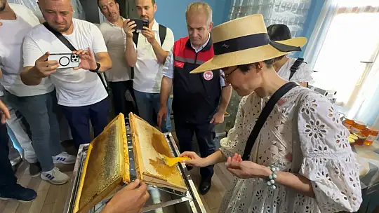 AB tescilli Yenice ıhlamur balında hasat başladı