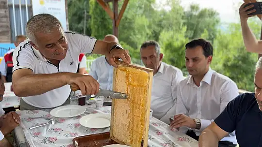 AB tescilli Yenice ıhlamur balında hasat başladı