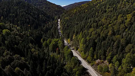 Abant Gölü Milli Parkı'nda renk cümbüşü