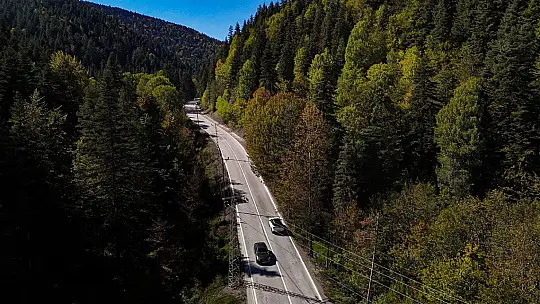 Abant Gölü Milli Parkı'nda renk cümbüşü