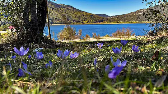Abant Gölü Milli Parkı'nda renk cümbüşü