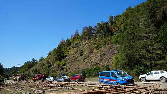 Ormanda çalışırken hayatını kaybetti