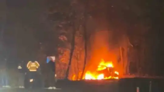 Ağaca çarpan araç alev alev yandı