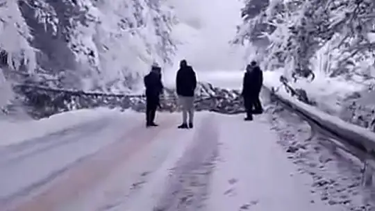 Ağaçlar devrildi yol kapandı, araçlar kayıp kaza yaptı