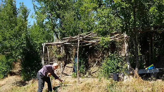 Ağaçlara adanmış ömür: 32 senede binlerce fidan dikti