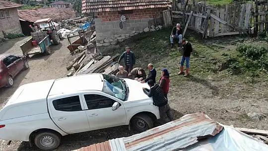 Ağıla giren kurtlar 18 koyunu telef etti, 11 koyunu yaraladı