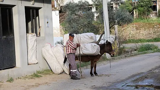 Akaryakıt zamları, at, eşek ve katırları kıymetli kılmaya devam ediyor
