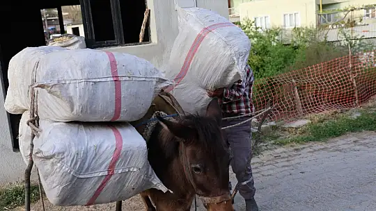 Akaryakıt zamları, at, eşek ve katırları kıymetli kılmaya devam ediyor