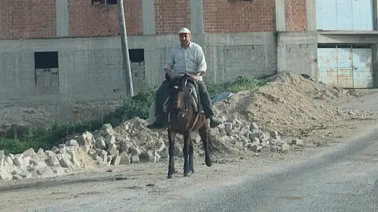 Akaryakıt zamları, at, eşek ve katırları kıymetli kılmaya devam ediyor