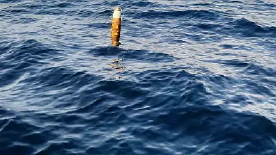Denizde şok eden görüntü