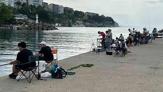 Akçakoca'da olta balıkçılığına yoğun ilgi