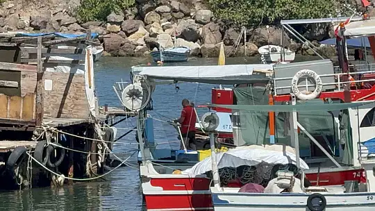 Akçakocalı balıkçılar yeni sezonda umduğunu henüz bulamadı