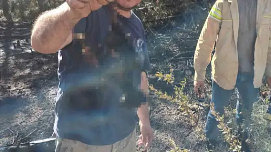 Akıma kapılan kuş ormanda yangına neden oldu
