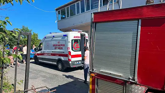 Alaplı'da 'pat-pat' kazası: 5 yaralı