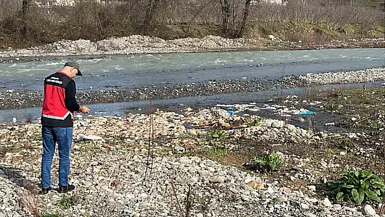 Alaplı'da çay yatağında onlarca tavuk ölüsü bulundu