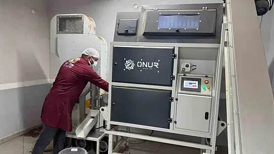 Alaplı'da fındık kavurma tesisleri taleplere yetişemiyor