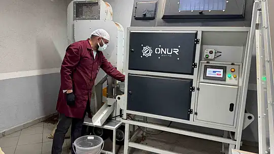 Alaplı'da fındık kavurma tesisleri taleplere yetişemiyor