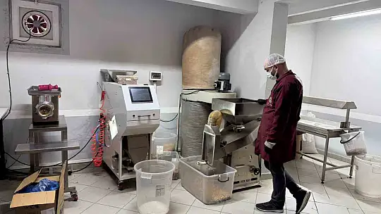 Alaplı'da fındık kavurma tesisleri taleplere yetişemiyor