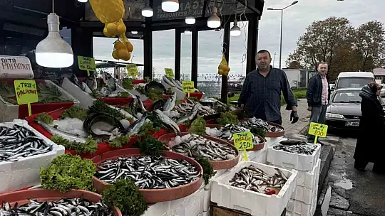 Alaplı'da hamsi 100 liradan alıcı buldu