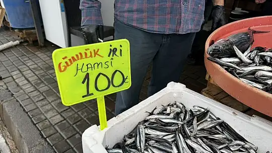 Alaplı'da hamsi 100 liradan alıcı buldu