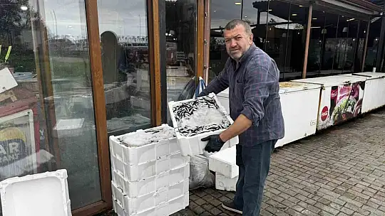 Alaplı'da hamsi 100 liradan alıcı buldu