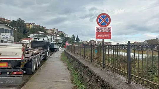 Alaplı'da hatalı parklara karşı yeni düzenleme