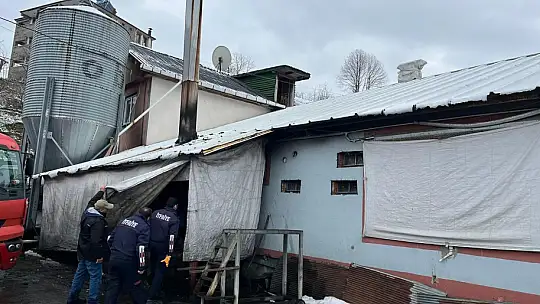 Alaplı'da kümes yangını korkuttu