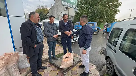 Alaplı'da kuraklık ve gal arısı istilası ünlü kuzu kestanesini de vurdu