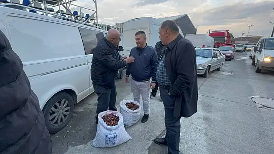 Alaplı'da kuraklık ve gal arısı istilası ünlü kuzu kestanesini de vurdu
