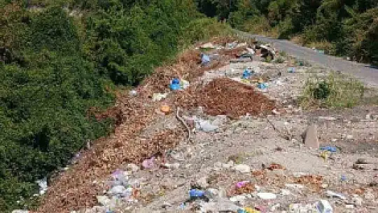 Alaplı'da yol kenarına bırakılan çöpler çevre kirliliğine yol açıyor