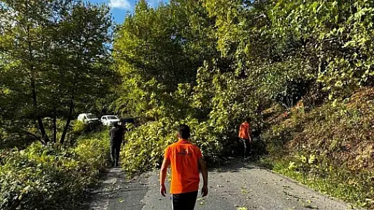 Alaplı'da yola devrilen ağaç, vatandaşlar tarafından kaldırıldı