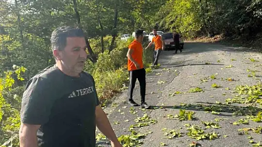 Alaplı'da yola devrilen ağaç, vatandaşlar tarafından kaldırıldı