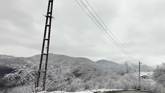 Alaplı'nın Gümeli köyüne mevsimin ilk karı düştü