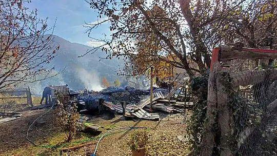 Alevlere teslim olan ahşap evdeki 5 kişi dumandan etkilendi