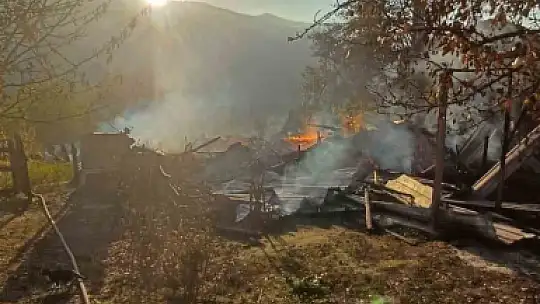 Alevlere teslim olan ahşap evdeki 5 kişi dumandan etkilendi