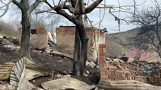 Alevlere teslim olan evde yanarak hayatını kaybetti